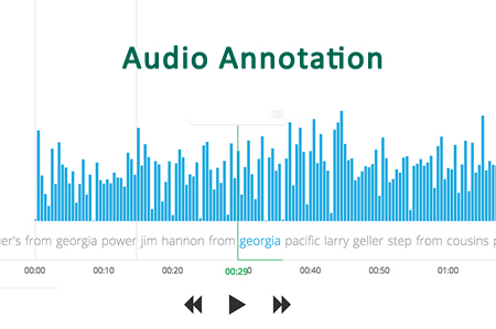 Audio Annotation